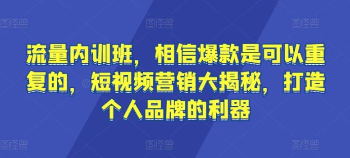 流量内训班，相信爆款是可以重复的，短视频营销大揭秘，打造个人品牌的利器-副业资源站